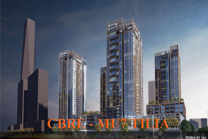 CBRE - MU7 TILIA